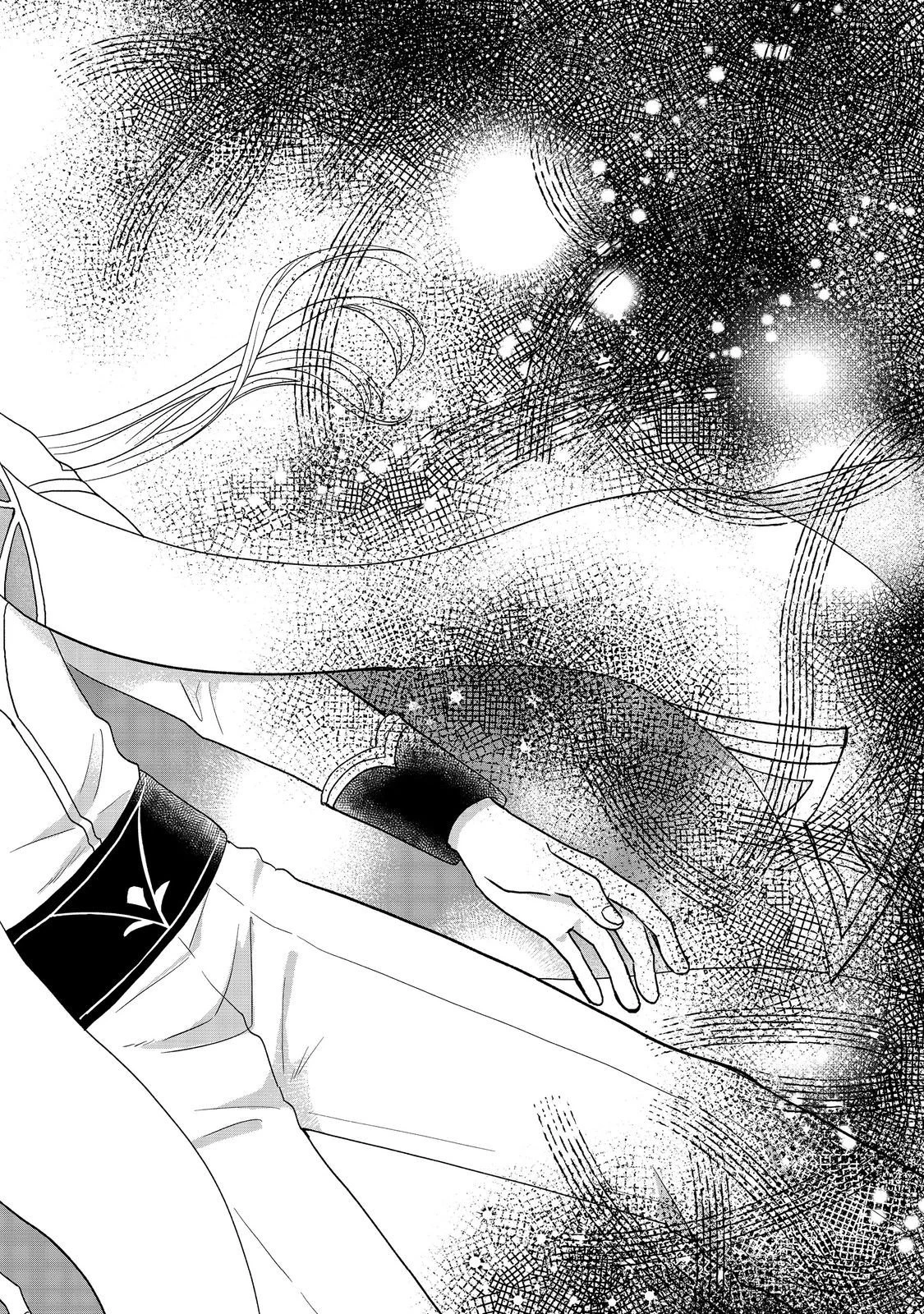 Seijo Dakedo Yami Ochi Shitara Hiyoko ni Narimashita! Chapter 17.1 page 11