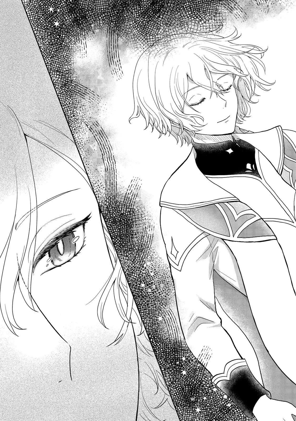 Seijo Dakedo Yami Ochi Shitara Hiyoko ni Narimashita! Chapter 17.1 page 12