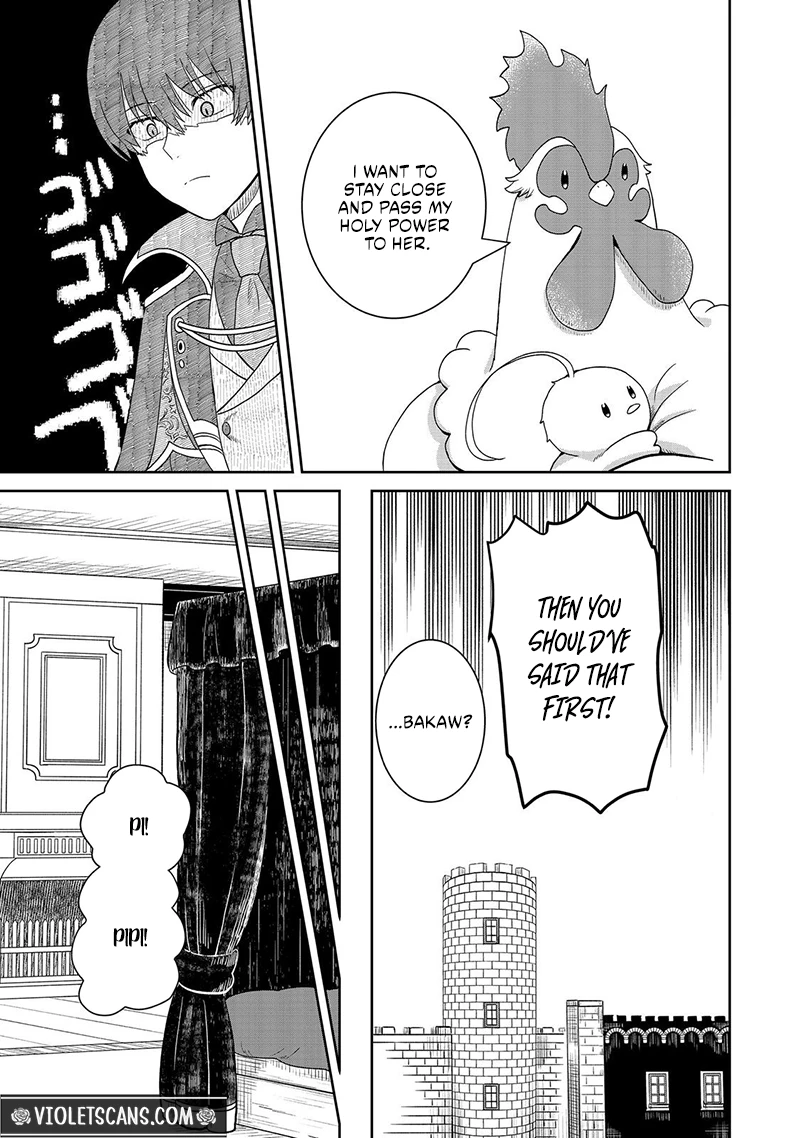 Seijo Dakedo Yami Ochi Shitara Hiyoko ni Narimashita! Chapter 18.2 page 5
