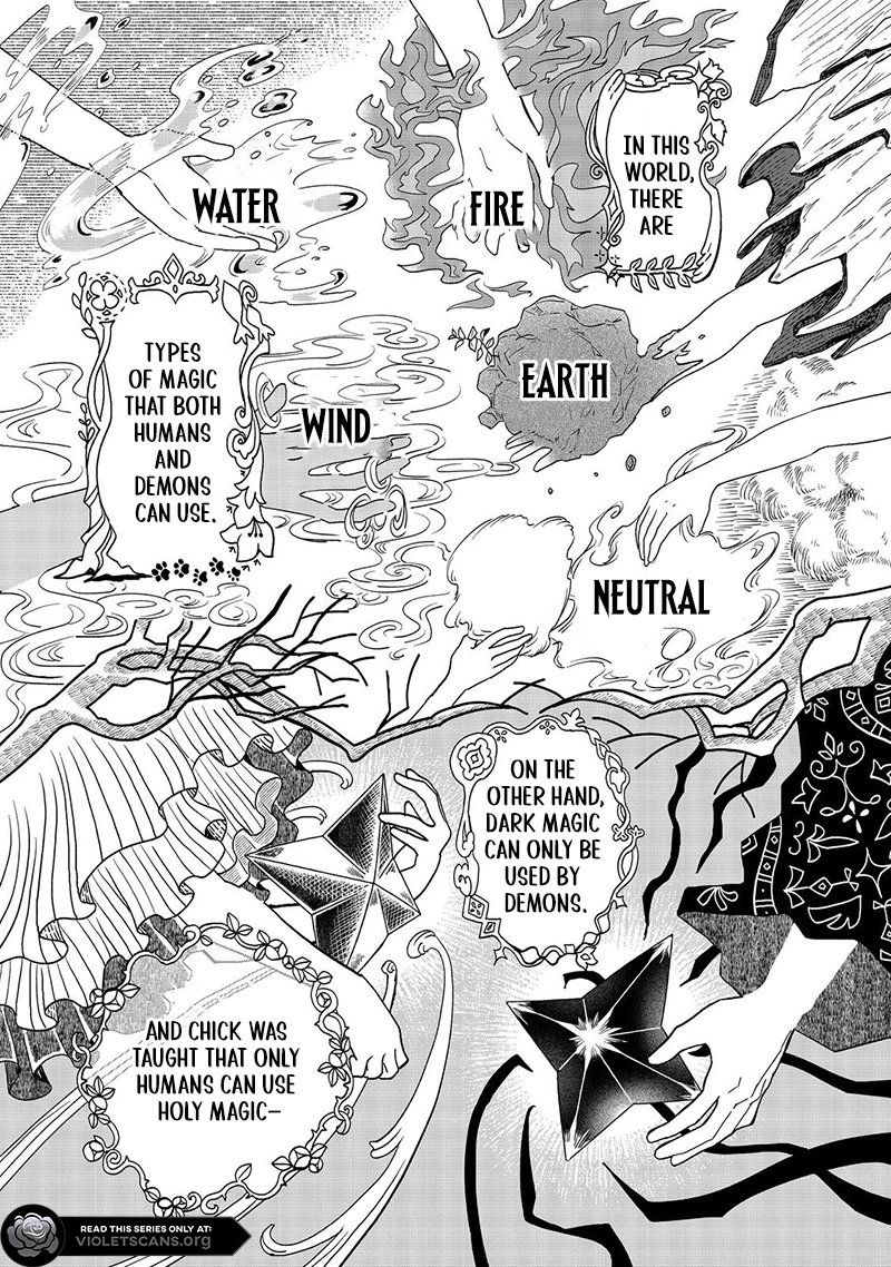 Seijo Dakedo Yami Ochi Shitara Hiyoko ni Narimashita! Chapter 4.1 page 2