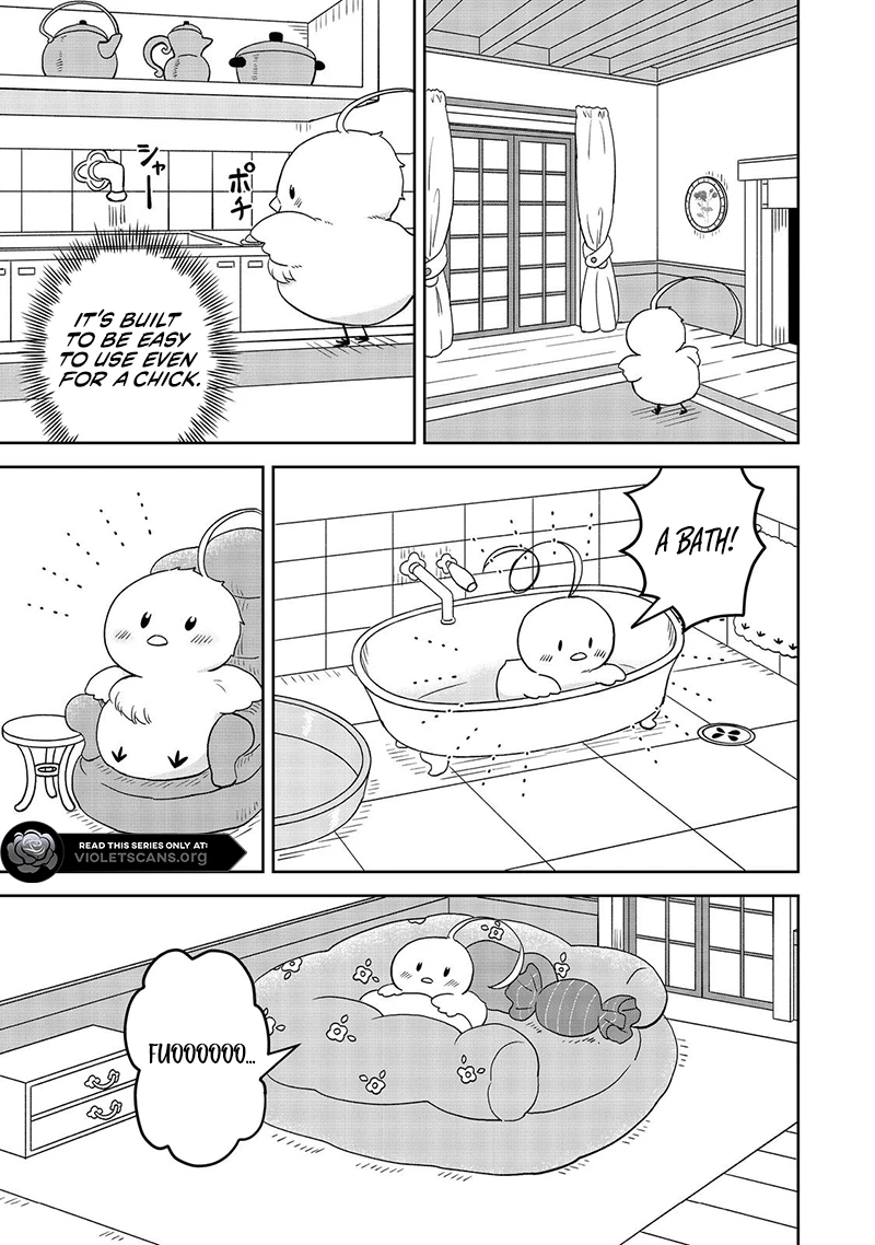 Seijo Dakedo Yami Ochi Shitara Hiyoko ni Narimashita! Chapter 10.2 page 9