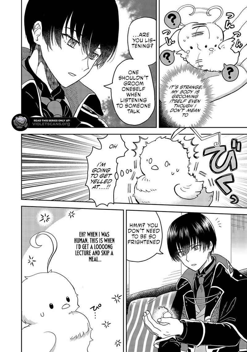 Seijo Dakedo Yami Ochi Shitara Hiyoko ni Narimashita! Chapter 1.2 page 4