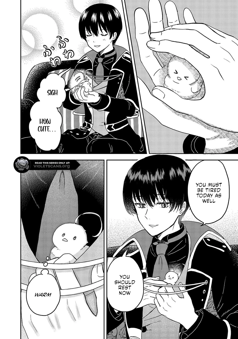 Seijo Dakedo Yami Ochi Shitara Hiyoko ni Narimashita! Chapter 1.2 page 10