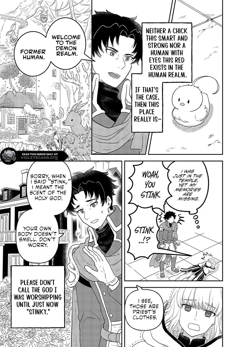 Seijo Dakedo Yami Ochi Shitara Hiyoko ni Narimashita! Chapter 8.2 page 9