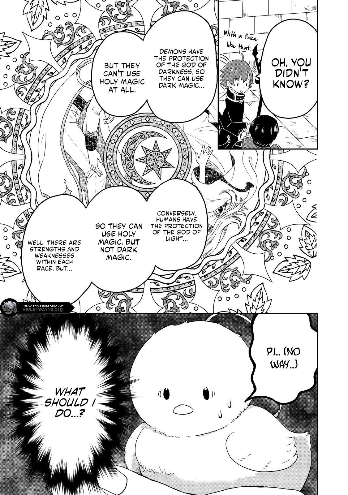 Seijo Dakedo Yami Ochi Shitara Hiyoko ni Narimashita! Chapter 3.2 page 12