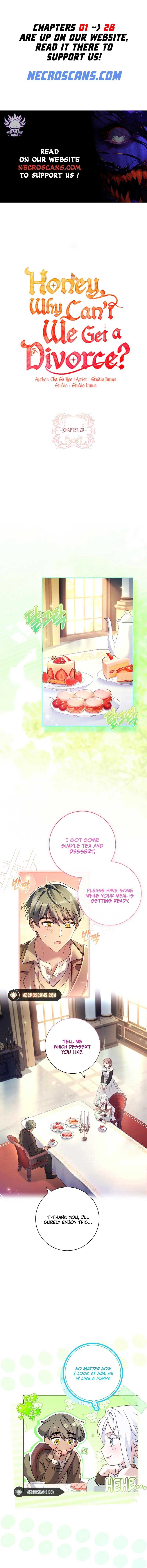 Darling, Why Can't We Divorce? Chapter 20 page 1