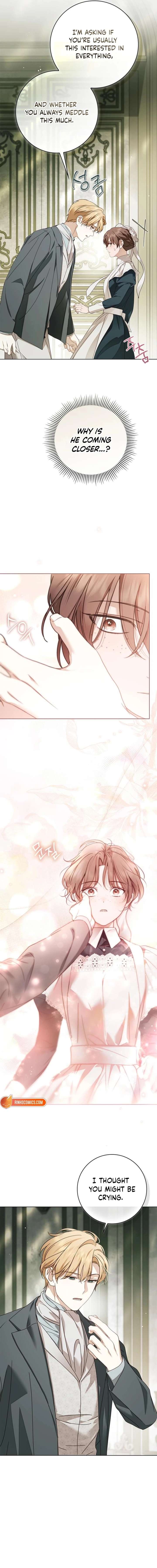 The Count's Secret Maid Chapter 84 page 8