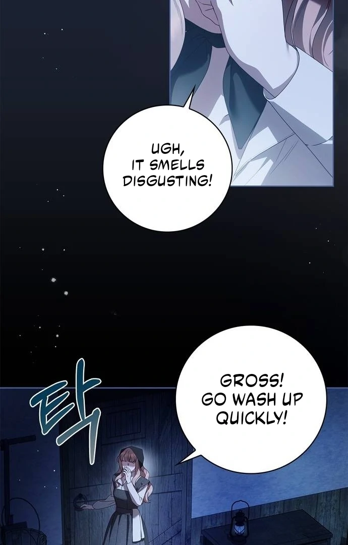 The Count's Secret Maid Chapter 50 page 26