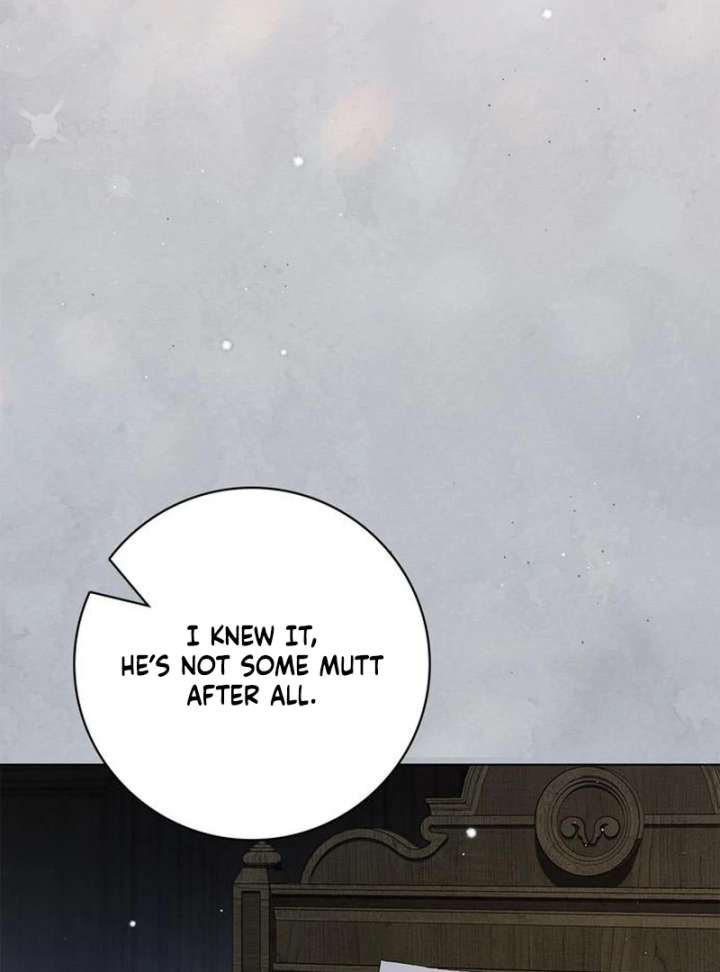 The Count's Secret Maid Chapter 58 page 164