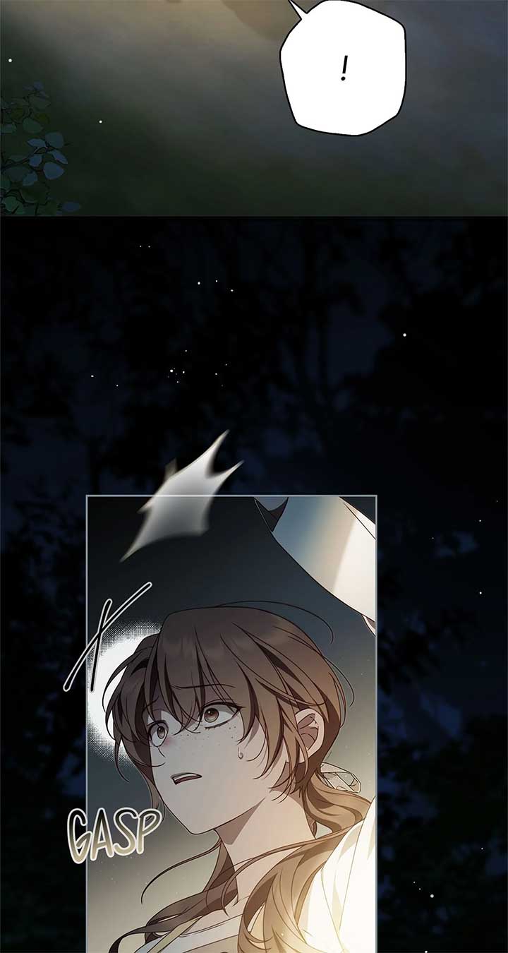 The Count's Secret Maid Chapter 47 page 70