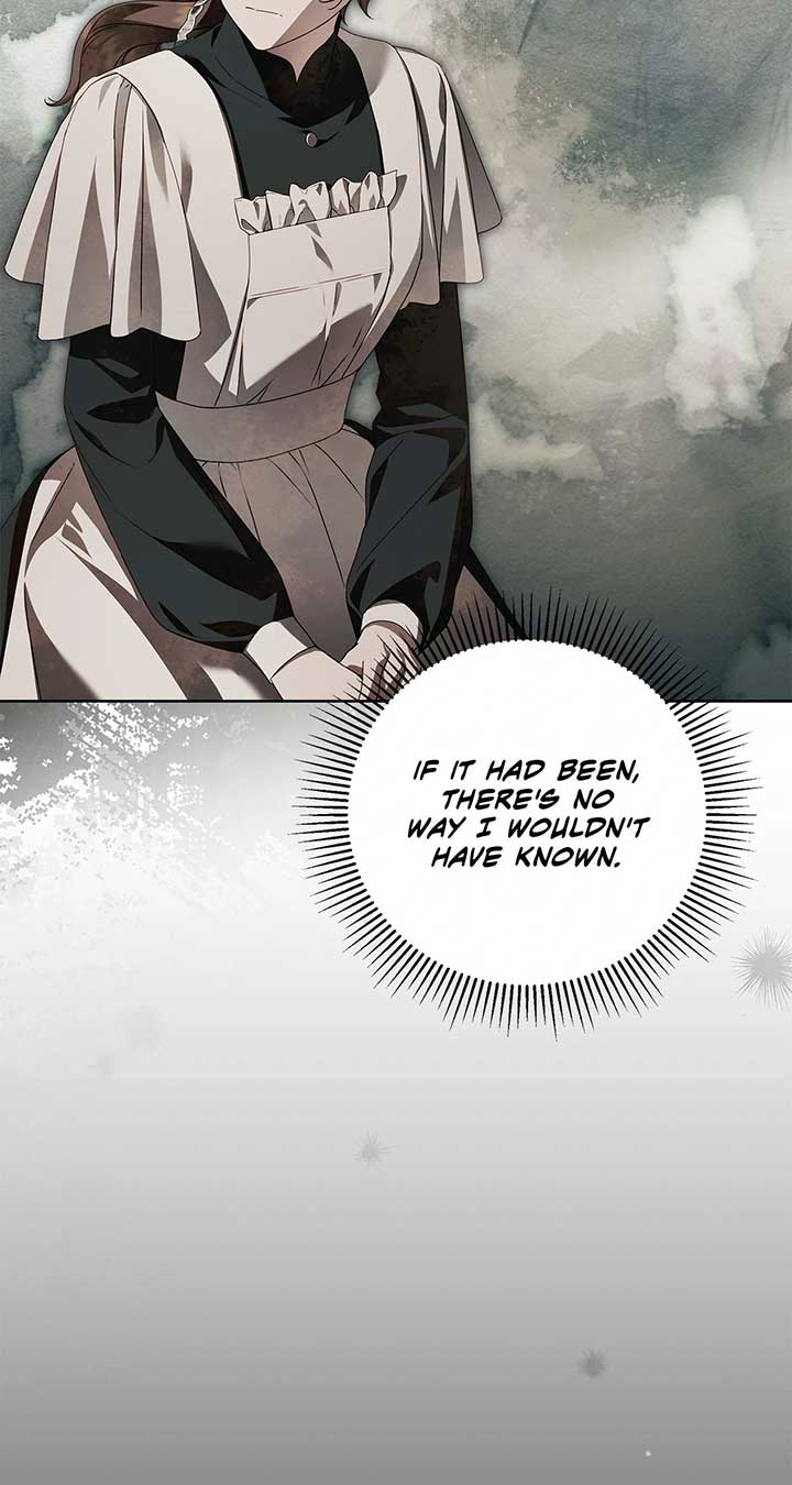 The Count's Secret Maid Chapter 46 page 18