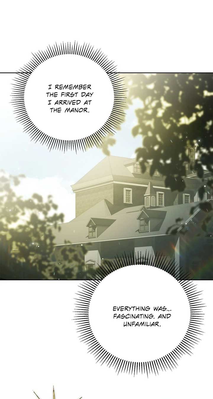 The Count's Secret Maid Chapter 46 page 50
