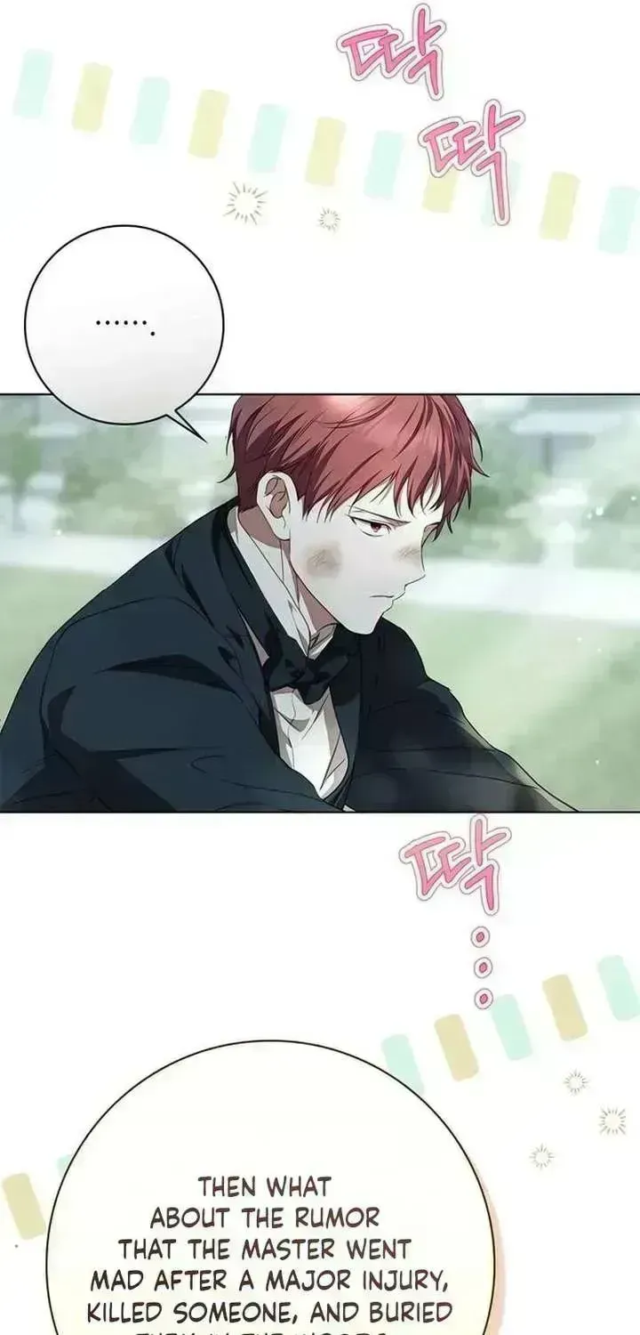 The Count's Secret Maid Chapter 97.1 page 11