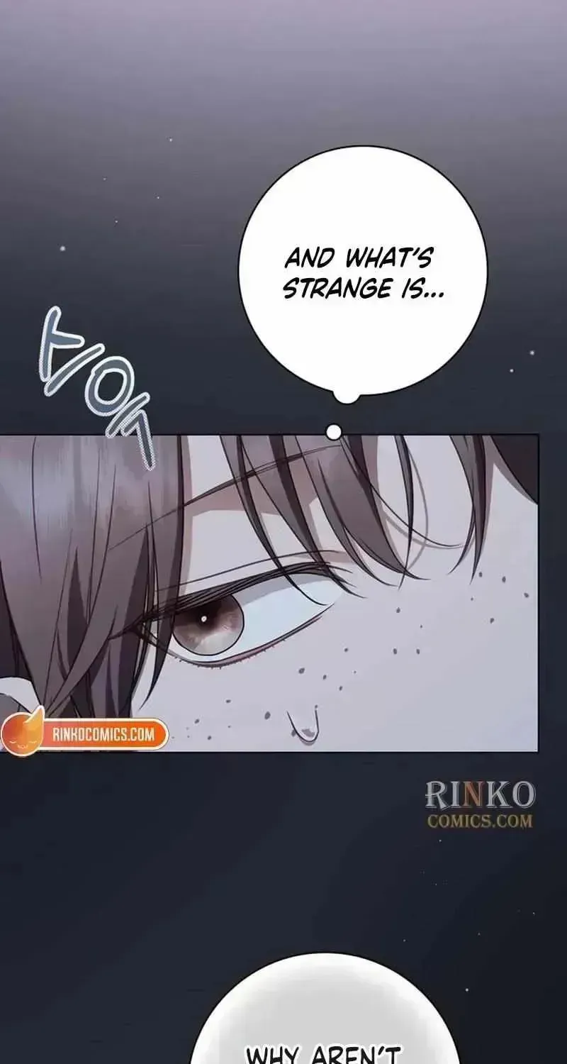 The Count's Secret Maid Chapter 95.4 page 38