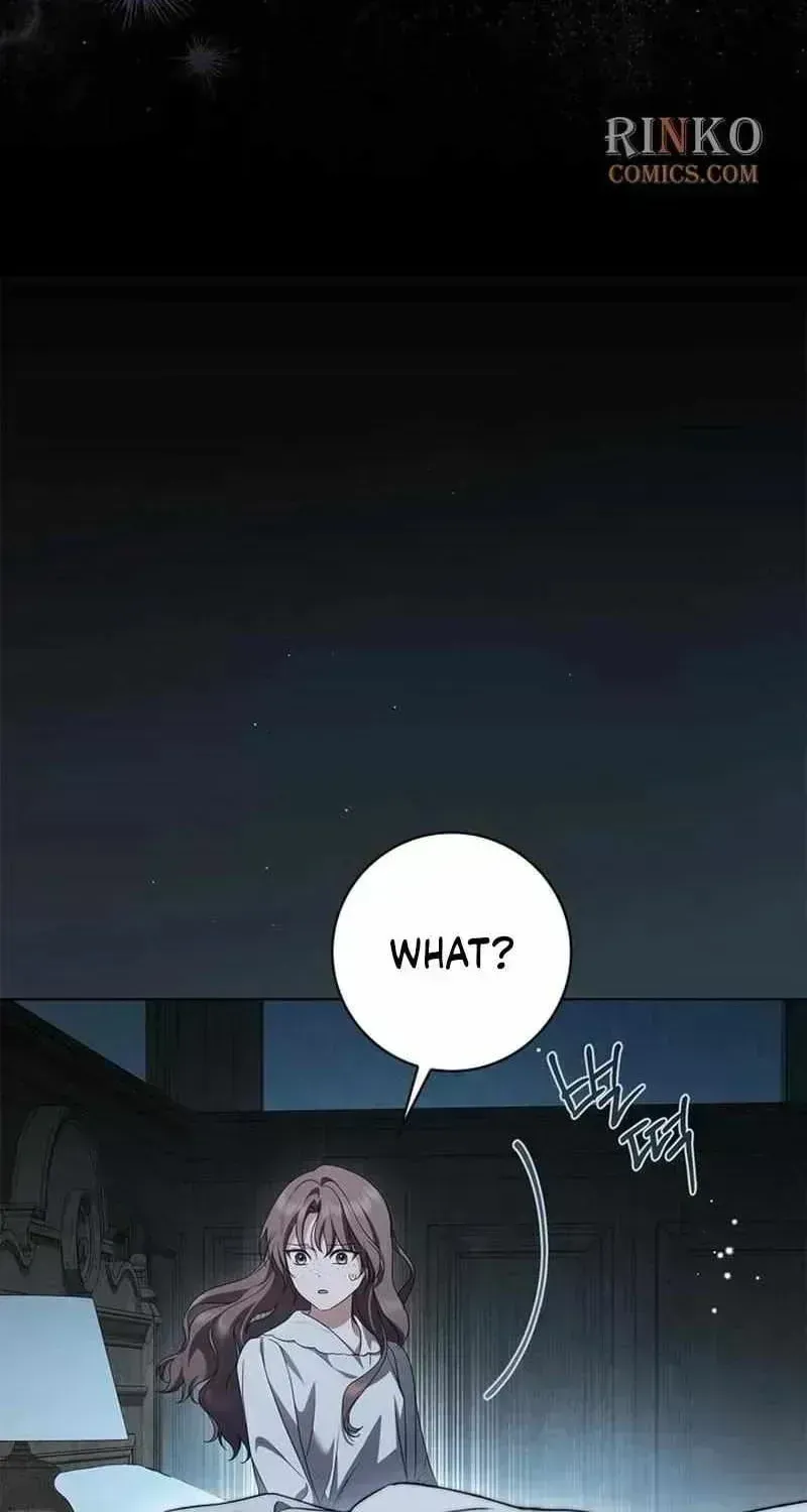 The Count's Secret Maid Chapter 95.4 page 42