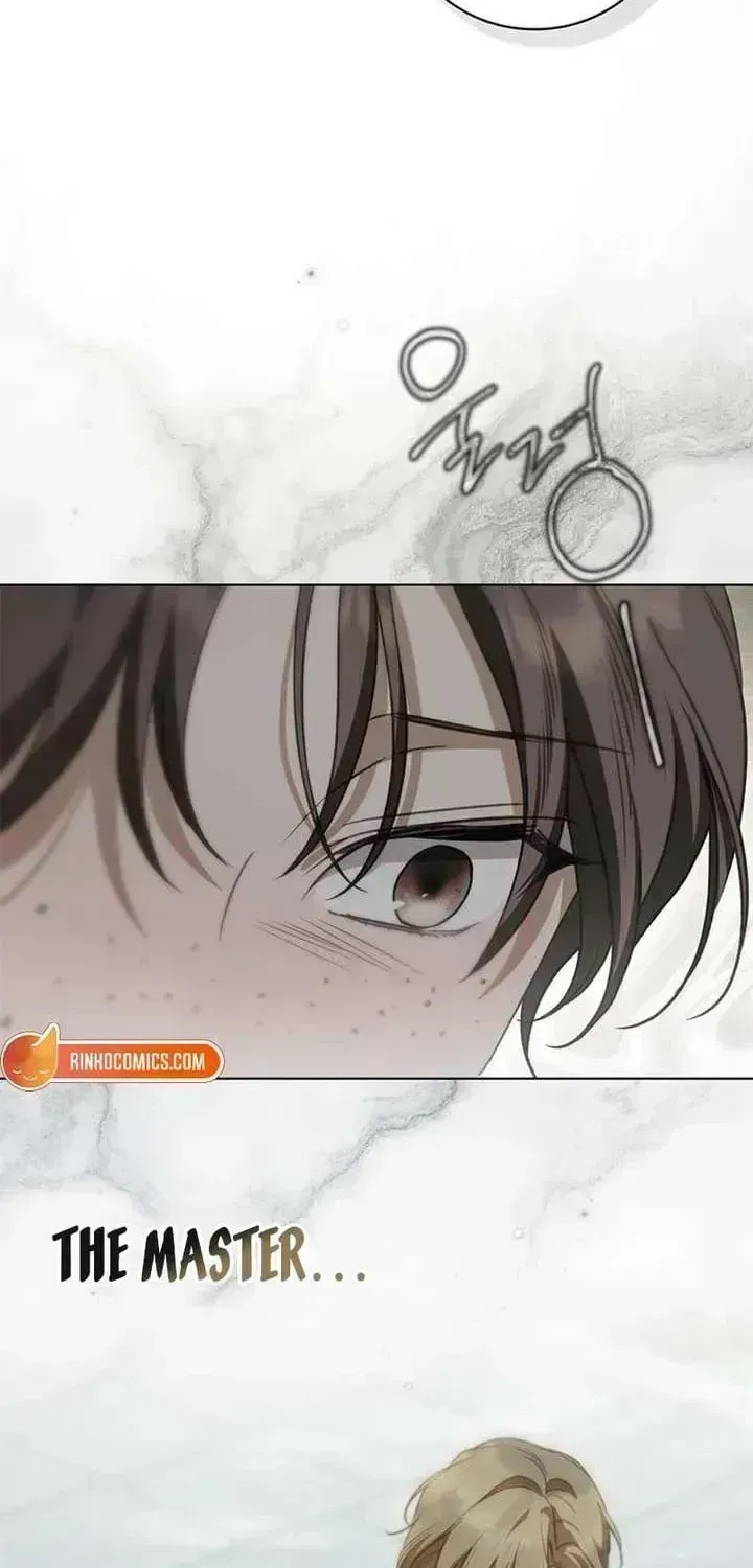 The Count's Secret Maid Chapter 94.7 page 69