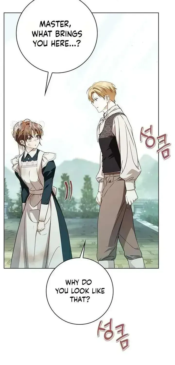The Count's Secret Maid Chapter 95.5 page 23