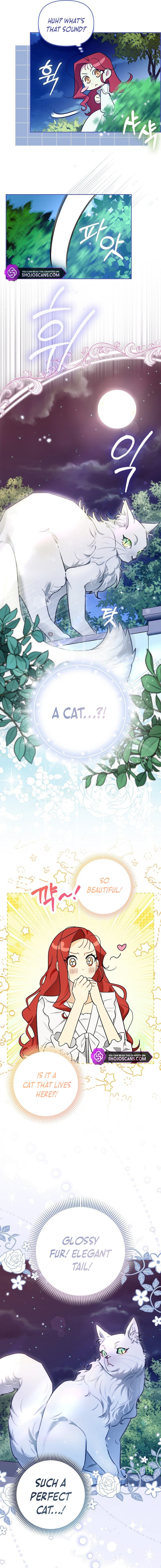 I Possessed a Villainess, but I Wanna Raise Cats! Chapter 7 page 15