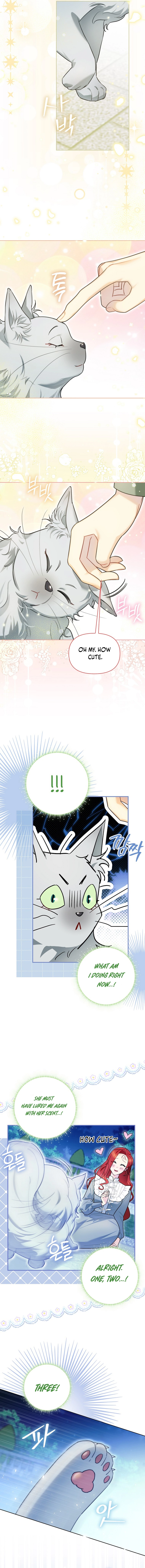 I Possessed a Villainess, but I Wanna Raise Cats! Chapter 12 page 11