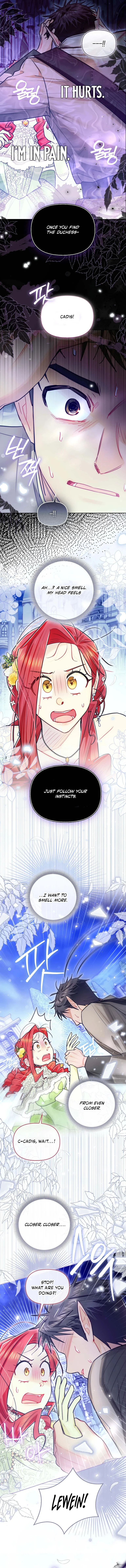 I Possessed a Villainess, but I Wanna Raise Cats! Chapter 85 page 10