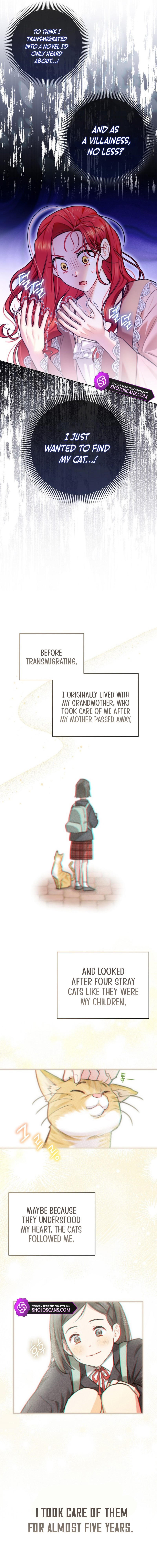 I Possessed a Villainess, but I Wanna Raise Cats! Chapter 1 page 5