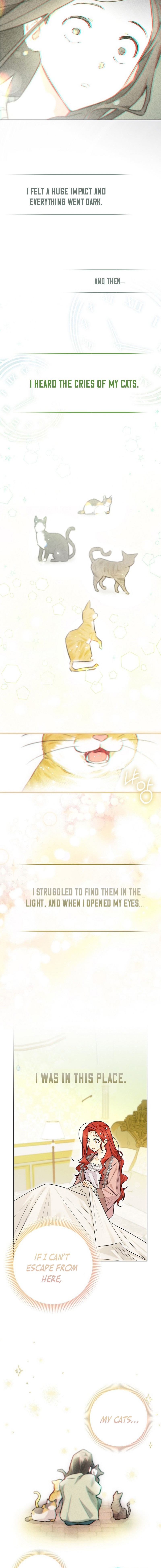 I Possessed a Villainess, but I Wanna Raise Cats! Chapter 1 page 8