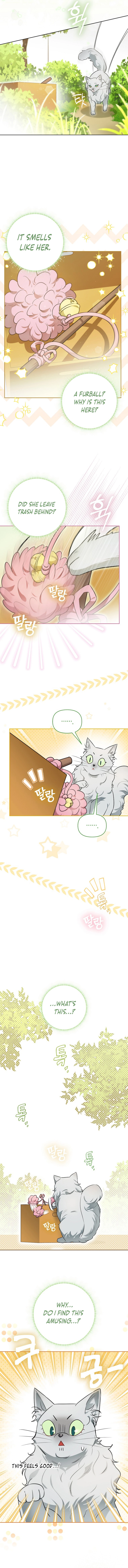 I Possessed a Villainess, but I Wanna Raise Cats! Chapter 9 page 7