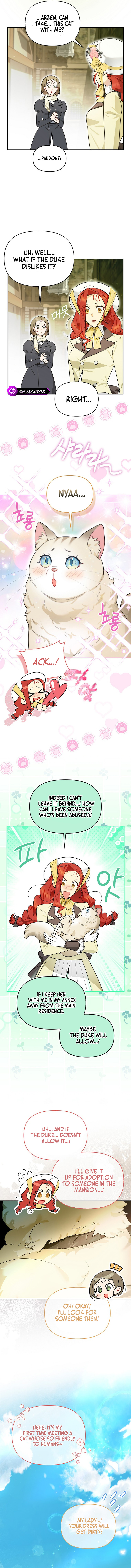 I Possessed a Villainess, but I Wanna Raise Cats! Chapter 13 page 12