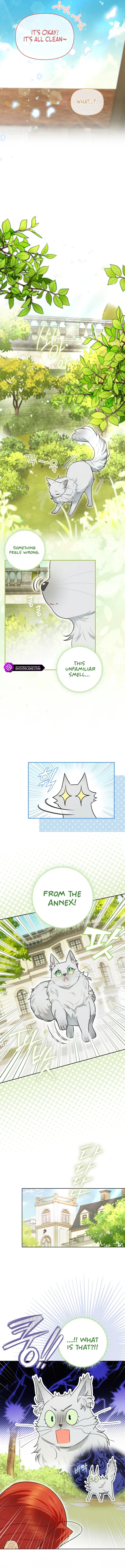 I Possessed a Villainess, but I Wanna Raise Cats! Chapter 13 page 13