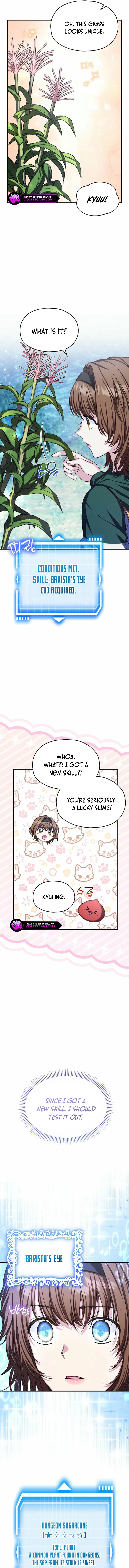 SSS-Rank Cafe by the Dungeon Chapter 17 page 4