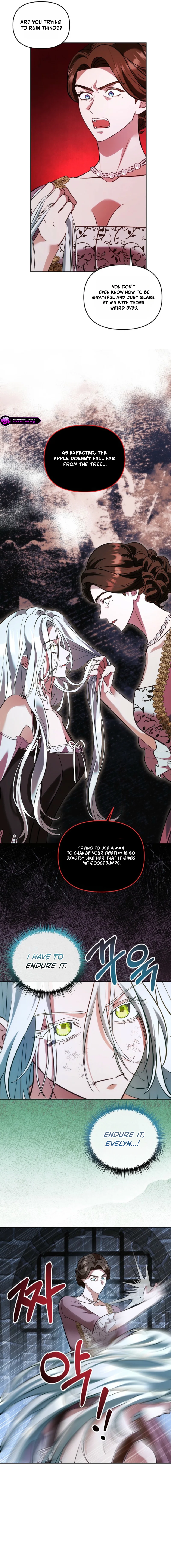 I Became the Wife of the Cursed Grand Duke Chapter 6 page 8