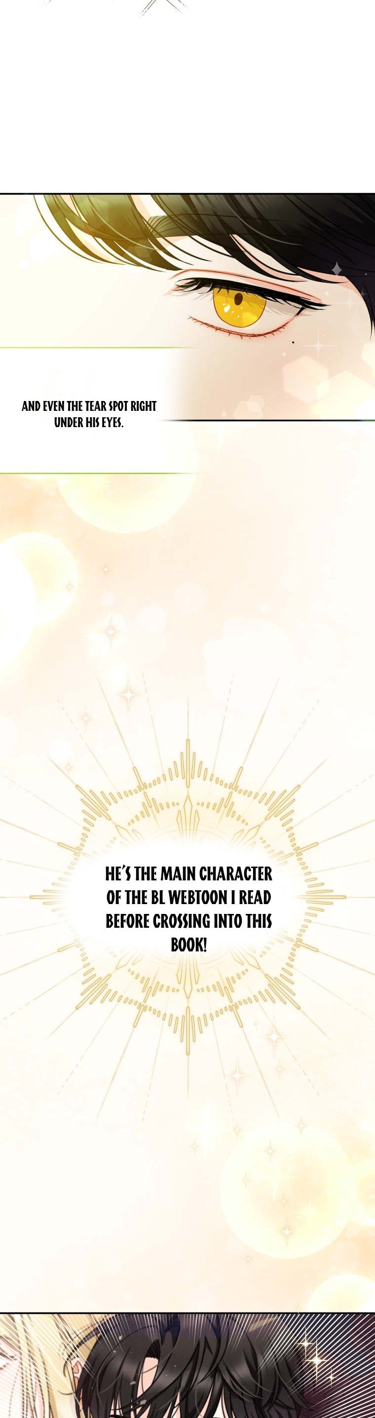 Reforming the Obsessive Male Lead Chapter 1 page 31