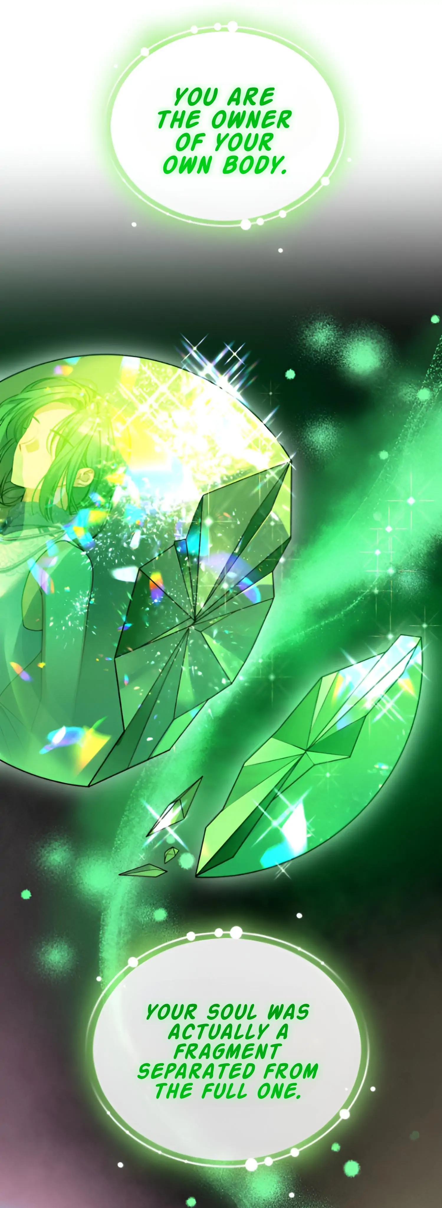 Reforming the Obsessive Male Lead Chapter 97 page 28