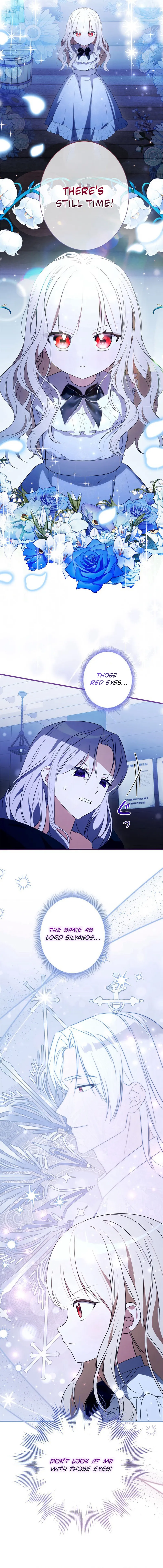 The Count's Beloved Contract Young Lady Chapter 16 page 19
