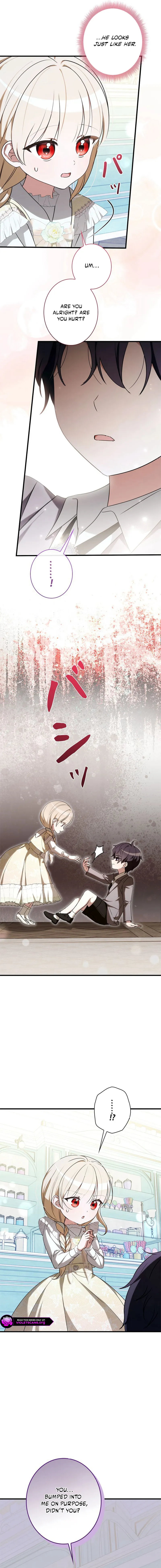 The Count's Beloved Contract Young Lady Chapter 19 page 17