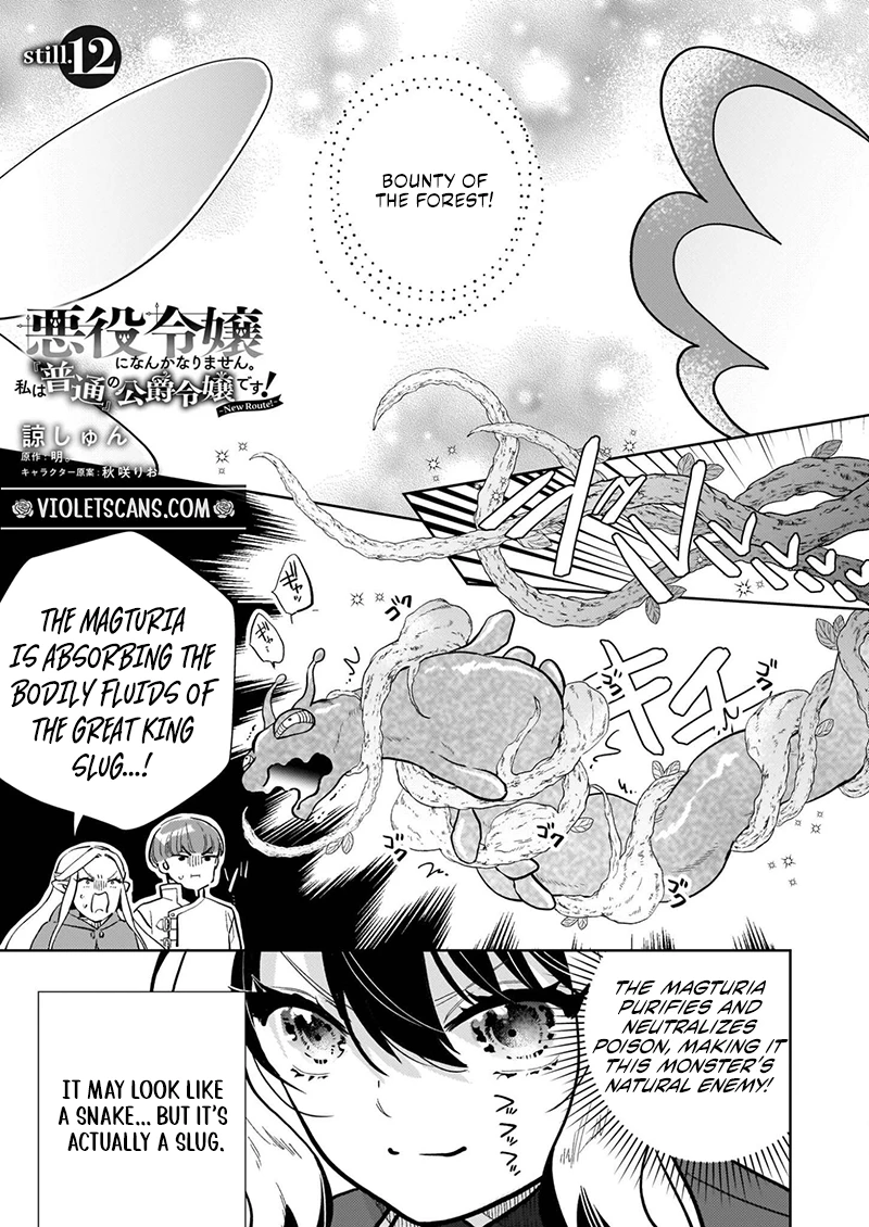 Akuyaku Reijou ni Nanka Narimasen. Watashi wa "Futsu" no Koushaku Reijou desu!: New Route! Chapter 12.1 page 2