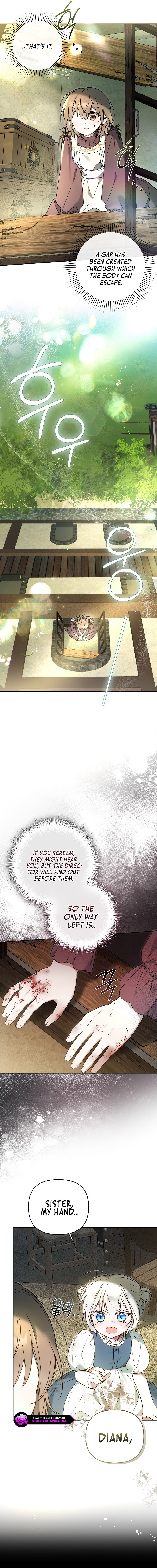 Diana's Dearest Is the Family's Favorite Chapter 6 page 12