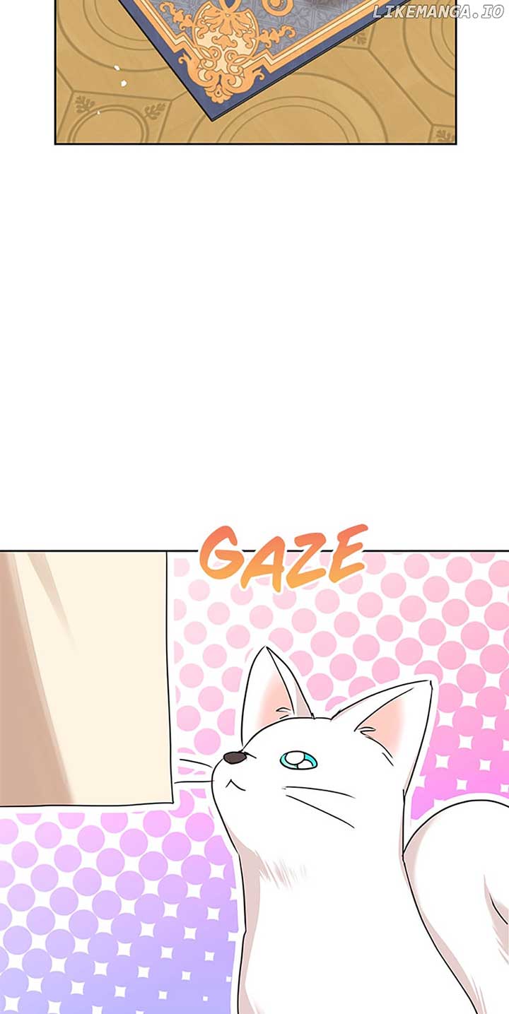 Surviving as the Illegitimate Princess Chapter 65 page 17