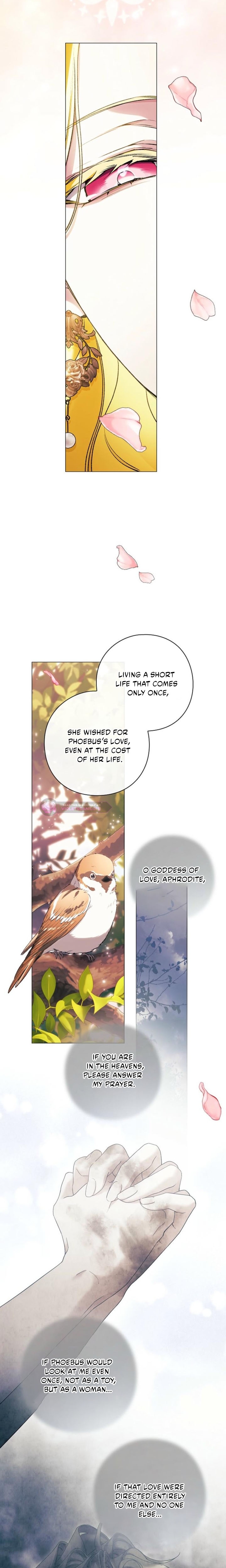 For the Goddesses: For Daphne Chapter 43 page 15