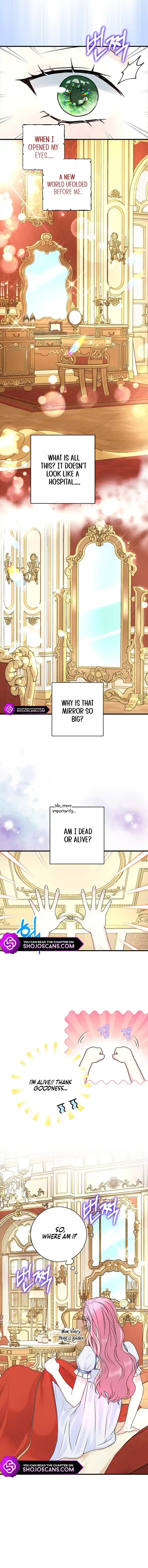 The Archduke's Magical Business Partner Chapter 2 page 7