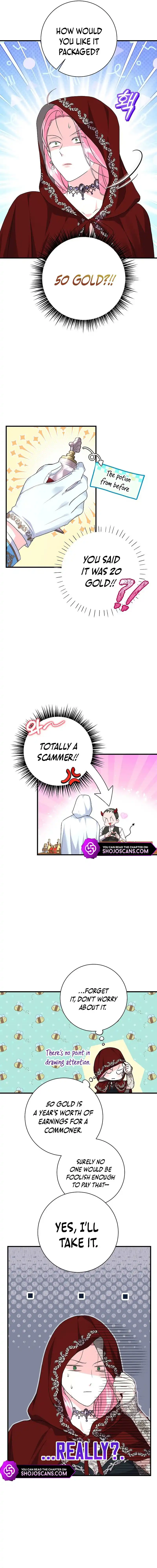 The Archduke's Magical Business Partner Chapter 19 page 9