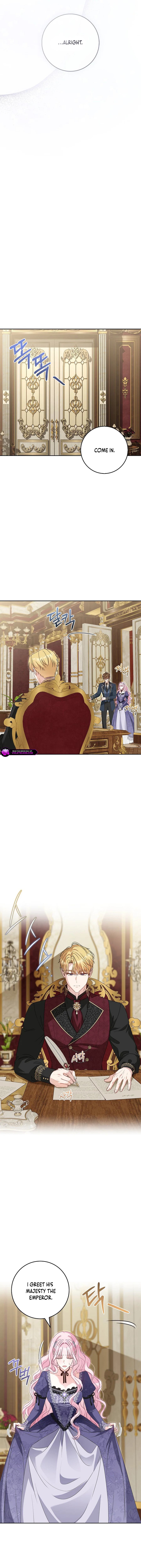 Must the Reincarnated Mother Always Die? Chapter 39 page 12