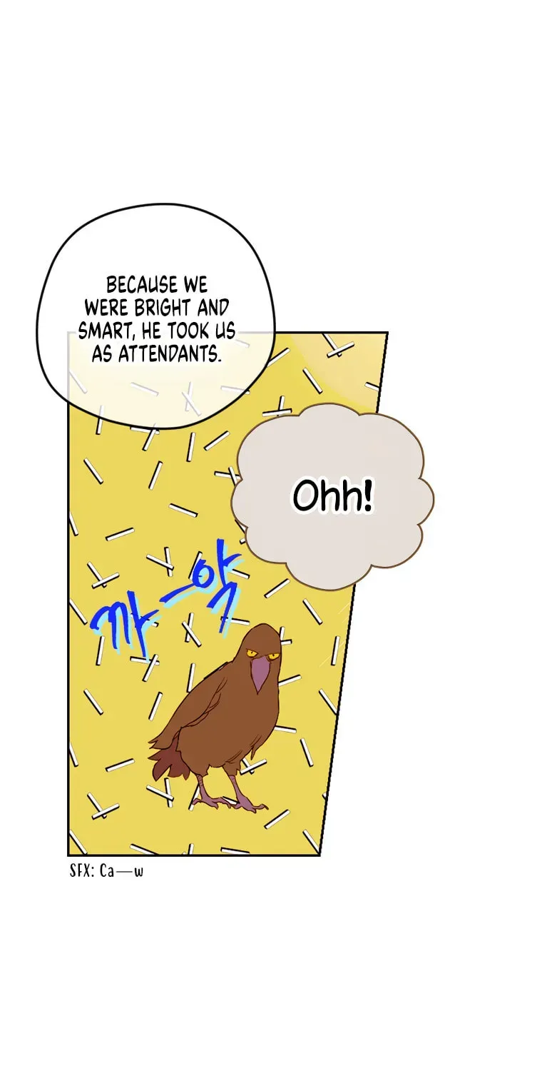 Mother's Contract Marriage Chapter 12 page 64