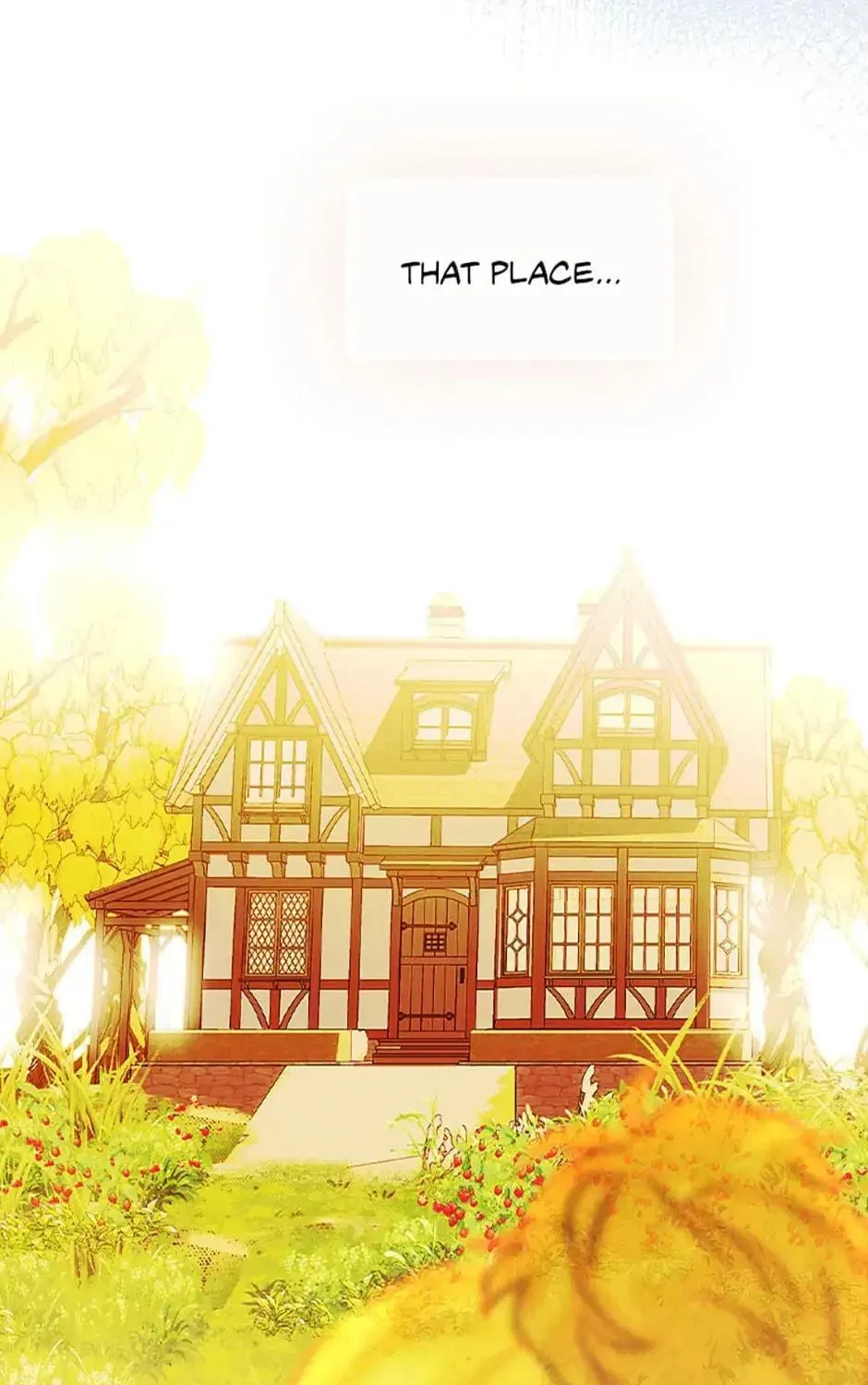 Mother's Contract Marriage Chapter 33 page 99