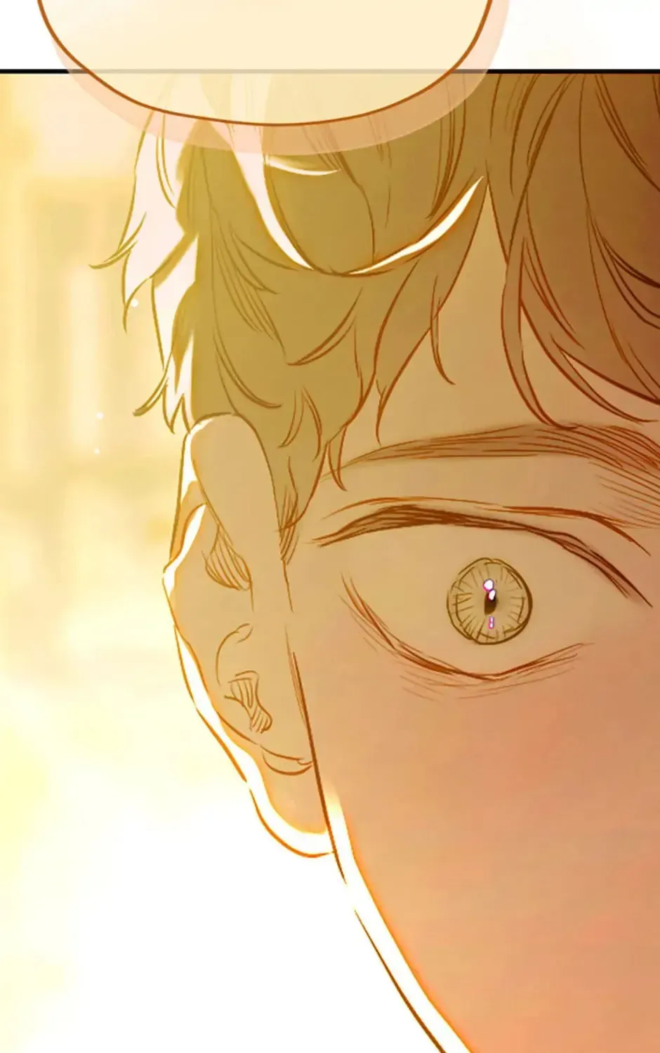 Mother's Contract Marriage Chapter 38 page 81