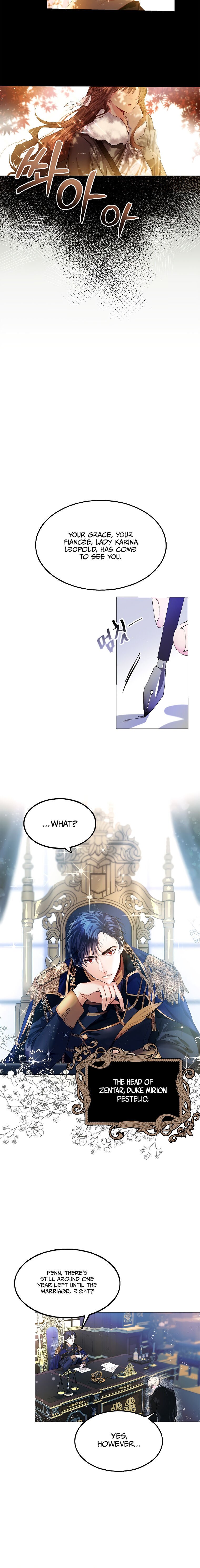 Karina's Last Days Chapter 1 page 3