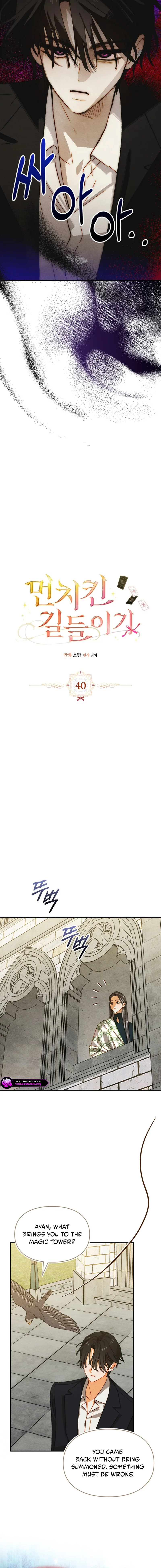Taming My Master Mage Chapter 40 page 2