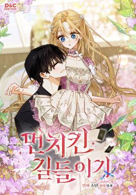 Taming My Master Mage cover