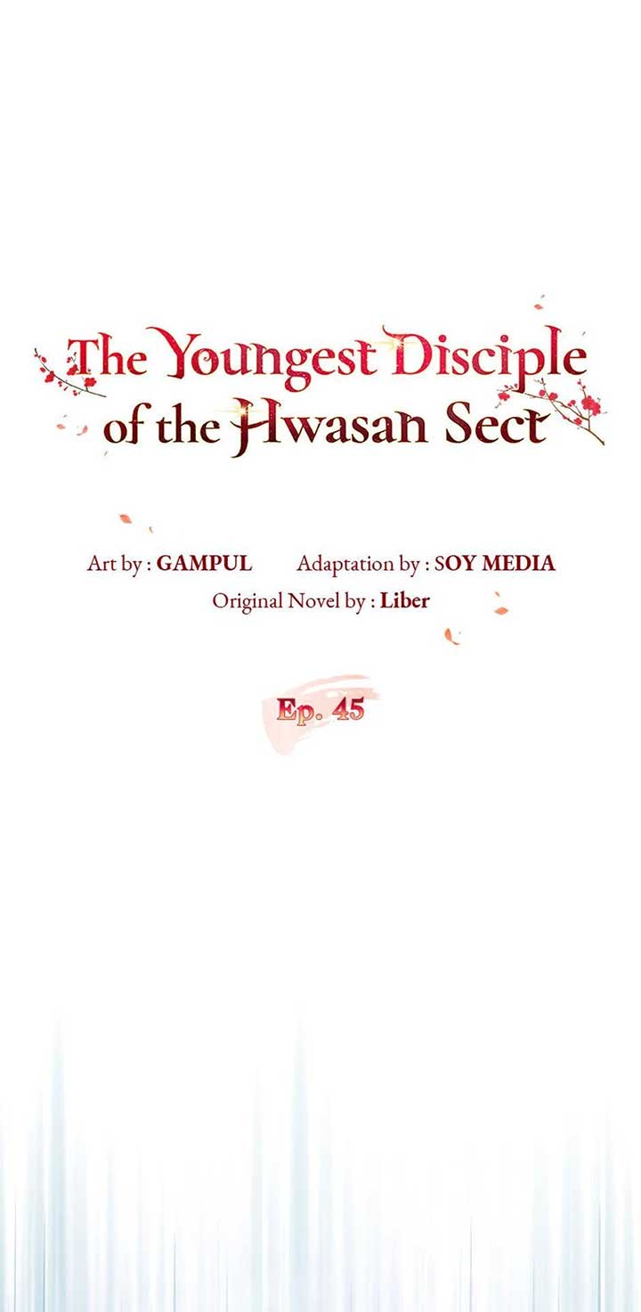 The Youngest Disciple of the Hwasan Sect Chapter 45 page 17