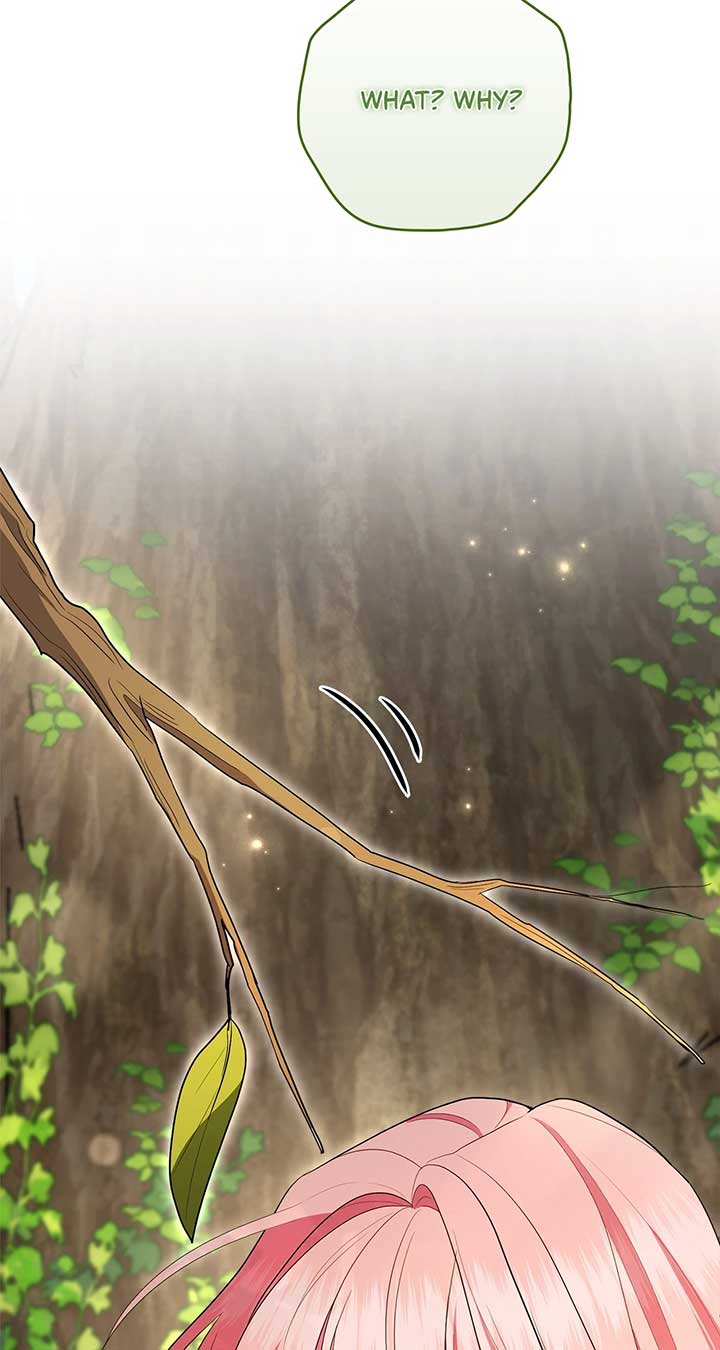 The Beloved Gardener of the World Tree Chapter 10 page 83